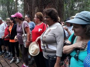 Semana do Idoso reuniu diversas atividades no clube
