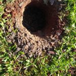 WhatsApp Image 2019 01 18 at 12.11.44 1 Campo de futebol da AAF passa por manutenção