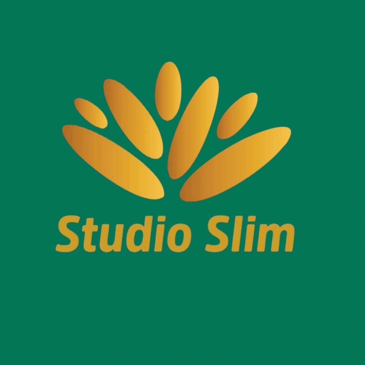 LOGO STUDIO SLIM Guia de Benefícios