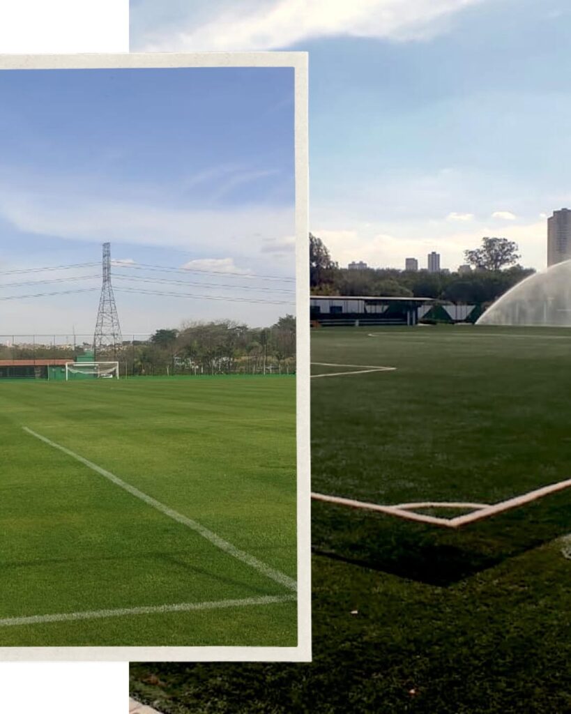 8 de setembro 2 AAF realiza visita técnica ao CT da base do Palmeiras, em Guarulhos